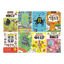 주니어김영사 의외로 도감시리즈 인간도감+축구+생물+식물+곤충+국기