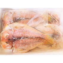 제주인생선 반건조 수입 말린 참옥돔 대 (6마리/10마리) 특대 (5마리/10마리) 손질 비닐포장, 특대 사이즈 10마리(비닐포장)