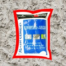 초속경시멘트 빨리굳는 시멘트, 회색