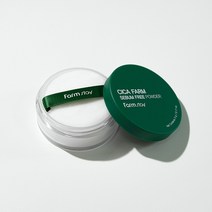 팜스테이 시카 세범 프리 파우더 5g 기름종이 노세범, 단품, 단품