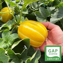 당도가 높고 맛있는 국내산 성주 참외 꼬마, 3kg, 1개