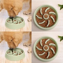 SC 반려동물 급체방지 식기 21X4.5CM 그린 애완견밥그릇 애견그릇