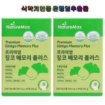 네이쳐맥스 프리미엄 징코 메모리 플러스 60정 2박스 식약처인증 은행잎추출 비타민 아연 기억력 레몬밤