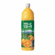 CM 롯데 제주사랑 감귤사랑 1.5LX12펫 제주 착즙 주스 쥬스 원액 농축액 즙 귤 음료수