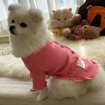 트렌디한 강아지 옷 만들기:아둥엄마의 스타일리시한 사계절 강아지 옷, 북스토리, 이윤희