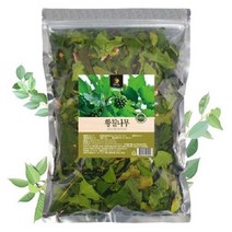 황칠나무 500g, j본상품선택J