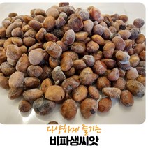 (영만수산)완도산 비파생 씨앗500G2