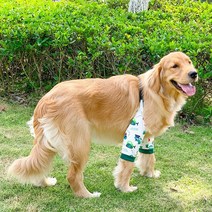 애완 견 고양이 강아지 쿨링 패드 개 팔꿈치 보호대 중형 대형견 반려동물 무릎 관절 보호 커버 마모 방지 용품, car+XL