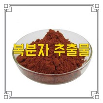 소율국제 복분자 고농축 추출물 분말, 10:1, 500g, 1개
