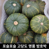 [국내산/국산] 고당도 미니밤호박 프리미엄 미니 밤호박 친환경 3kg 1kg 부드러운 호박 밤 국내산 달달한 다이어트 붓기제거 미니단호박 부드러운 달달 단호박 보우짱