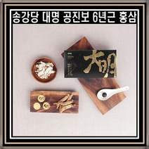 송강당 대명 공진보 기력업 공력환 침향원 6년근 홍삼 효도선물 명절선물, 1개