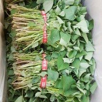 맛있는 농장 호박고구마 모종 10kg(4월1일부터예약주문받습니다), 호박고구마 모종 10kg, 5월 03일 도착