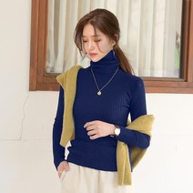 데일리앤 포이블 여성 슬림핏 이너 골지 터틀넥 니트
