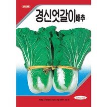 경신엇갈이배추 씨앗 - 얼갈이 배추 - 풋배추 - 나물배추 - 20g