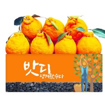 [덤증정]제주 고당도 한라봉 3kg 중대과 +500g 덤증정 총3.5kg, 단품
