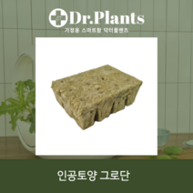 [닥터플랜츠] 씨앗발아용 그로단 12구 암면배지 프리미엄 인공토양/수경재배 토경재배/네덜란드 수입, 1개