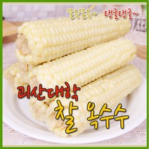 수확후바로삶은 괴산 대학찰옥수수 30개(3개씩포장), 없음, 상세설명 참조