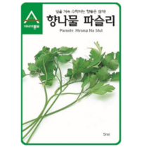 세계종묘 이탈리안파슬리 200립, 1개