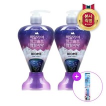 죽염 죽염 히핑 바이옴 R펌핑치약 285G *2개 + 핑크솔트 담은칫솔(부드러운) 1입, 단일옵션