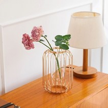 인테리어화병 오끌레 골드 와이어 철제 수경재배 유리 꽃병, 라운드