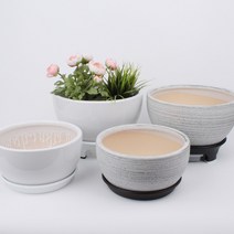 도희네화분 낮은화분 다육이화분, 낮은화분그레이(대)물받이형