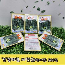 (샤인 몰) 동원씨앗/ 케일/ 씨앗 종자 500립 1개/건강케일/ 비타민 A C가 풍부한 건강채소