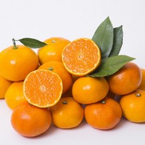 [초록자연] 제주 레드향 3kg(8-10과), 상세페이지 참조