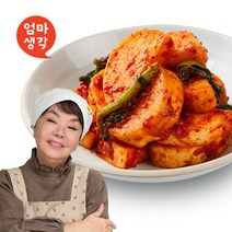 김수미의 엄마생각 [더프리미엄] 포기김치 13kg, 1개