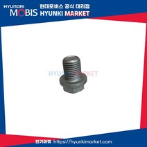 전차종 순정 오일 드레인 플러그 (2151223000), 1개