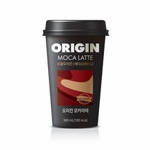 덴마크 오리진 모카라떼, 48개, 300ml