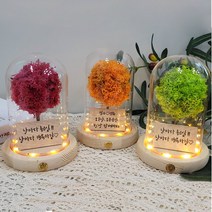 메세지 각인 스칸디아모스 무드등 만들기 DIY 키트, 올리브_폰트1