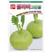 아시아종묘 콜라비씨앗종자 그린콜 (100립) 전문농가용, 1개, 단품없음