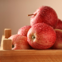 내고향농수산 청송 사과 부사 꿀사과 세척사과 명품 선물세트 사과직거래 가정용 흠집사과 못난이사과 흠과 5kg 10kg, 가정용 흠과 쥬스용 9kg 25~30과