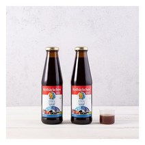 로트벡쉔 바이탈 아이젠 2병 /철분+비타민B+비타민C+비타민D