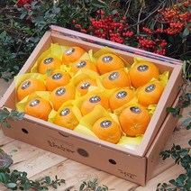 [제주산지직송] 레드향 3kg(14~17수 중과 선물용) 진홍색 만감류의 여왕 실속형 박스무게포함, 1박스