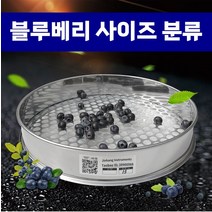 블루베리 선별기 체 스테인리스 원형 구멍 표준 사이즈 등급 나누기 직경 30cm 분류