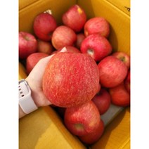 장수사과 친환경 사과 부사 흠집사과 흠사과 1.5KG 2.5KG 5KG 10KG, 일반사과 대과, 1개