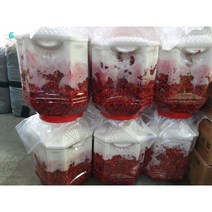 2022년 햇 오미자 당절임, 10kg(생오미자5kg+원당5kg)