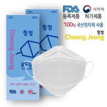 브랜드없음 [KT알파쇼핑]청정 숨편한 KF94 마스크 대형 3중 국산원자재 국내생산 성인용, 10매입, 10개, 청정