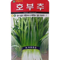 호 부추 씨앗 채소 야채 왕 king chives seed 2000립