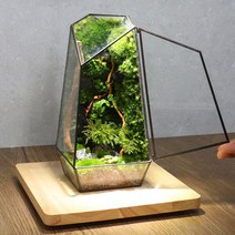 모스홀릭 이끼 테라리움 기하학용기 프레임 테라리움유리병 유리온실 도어형 25cm, 1개