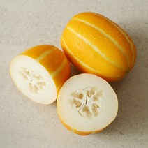 산지직송 성주 참외 2kg 5kg 9kg 산지명물참외 제철 효능 꿀참외 하우스, 1박스, 12.가정용참외 5KG 부자재무게포함 (특대과)