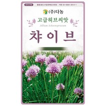 차이브허브(채소겸용)씨앗 40g[LU], 단품