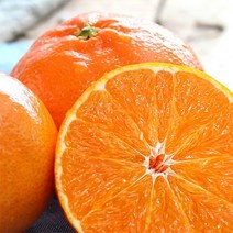 산지직송 제주 레드향 가정용 3kg 5kg 10kg, 혼합형 랜덤과, 레드향 3kg, 1개