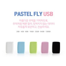이앤디몰 FLY USB 메모리 2GB/파스텔톤/USB2.0/미니멀 사이즈 슬라이드형, 핑크