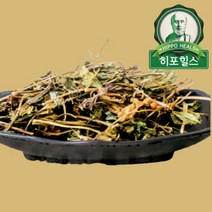 제천약초생활건강 어성초 200g, 1개, 150g