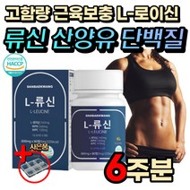 류신 타블렛 BCAA 분리 유청 단백질 헬스 보충 보조제 가성비 핼스 여성 남성 노인 시니어 올챙이배 멸치탈출 L 로이신 발린 이소로이신 식물성 동물성 복합 프로틴 필수 아미노산, 1개