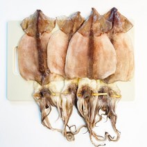 반건조오징어 건조 마른 파품 피데기 반건오징어 10마리 동해안 속초 냉동 피대기, 왕특 5마리(850g내외)