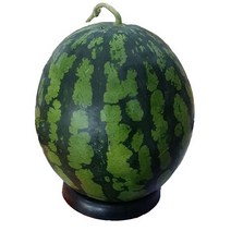 자체브랜드 하우스 노지수박 고당도 수박, 6kg이상