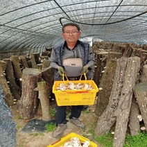 장흥표고버섯 무농약 국내산 배지 생 표고버섯 산지직송 특품 상품 가정용 1kg 2kg, 가정용 2kg